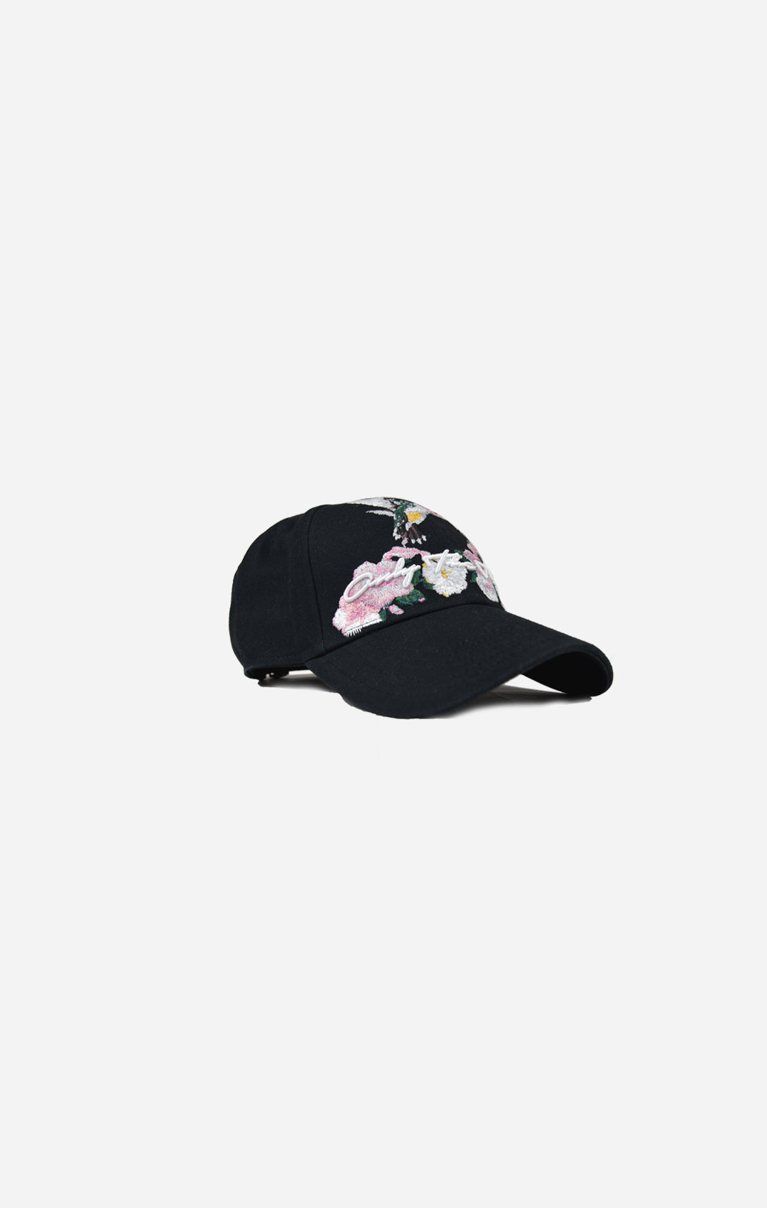Hummingbird Baseball Cap